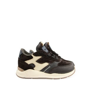 Pinocchio Pinocchio Sneaker Dark Brown Combi
