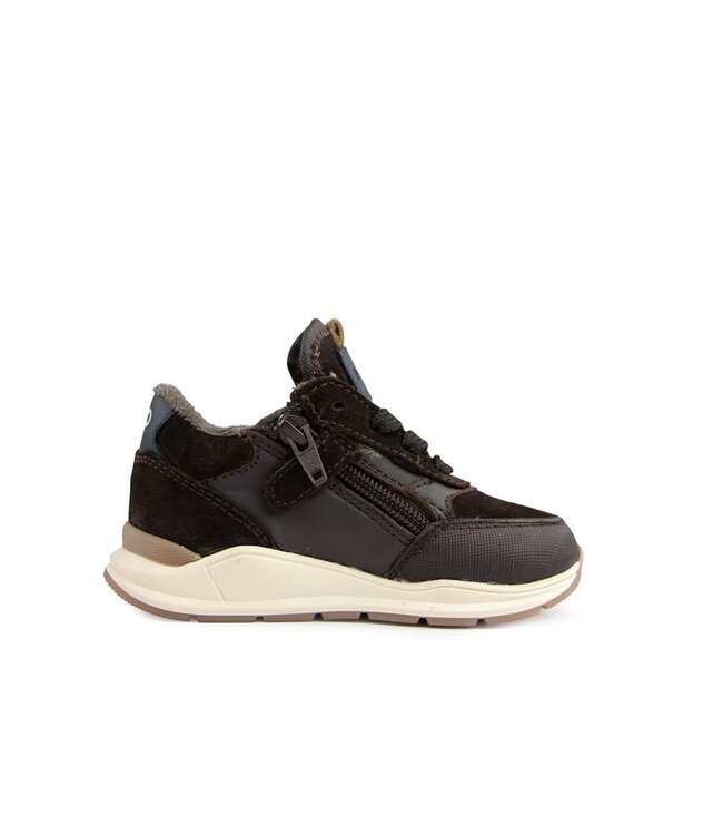 Pinocchio Sneaker Dark Brown Combi