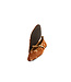 Cycleur de Luxe Josephine Bambi