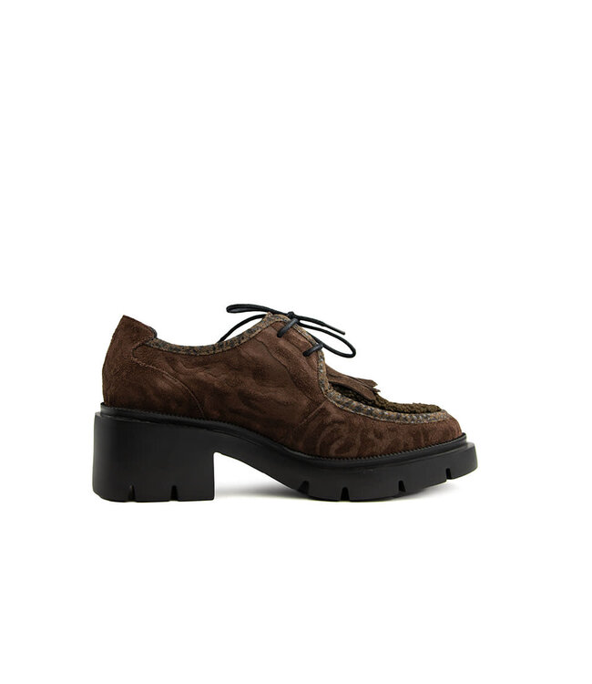 Floris van Bommel Maddi 03.01 D. Brown
