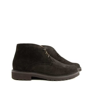 Greve Greve Hoge Veter Deventer Africa Suede K