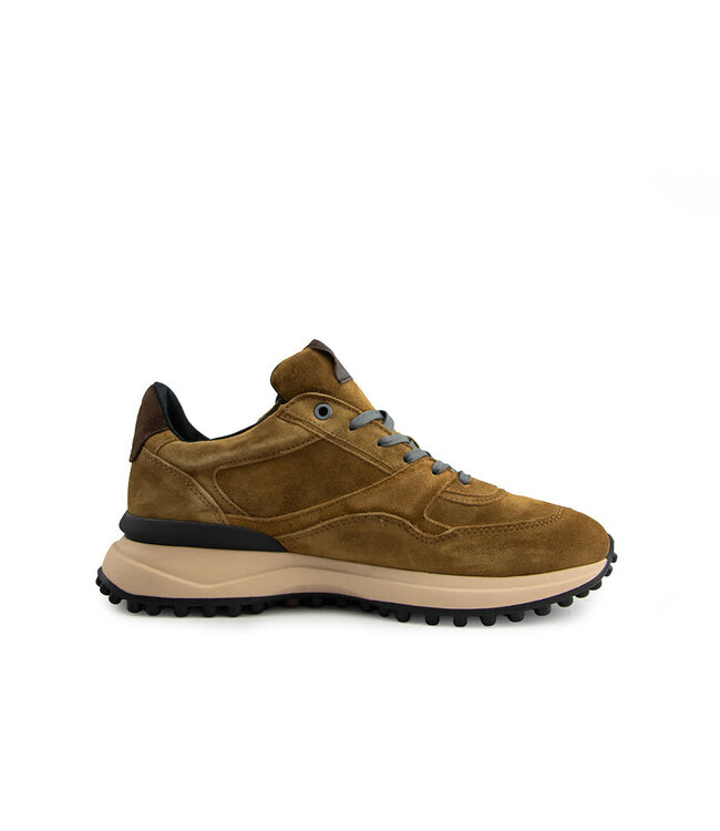 Floris van Bommel Noppi 29.73 Cognac