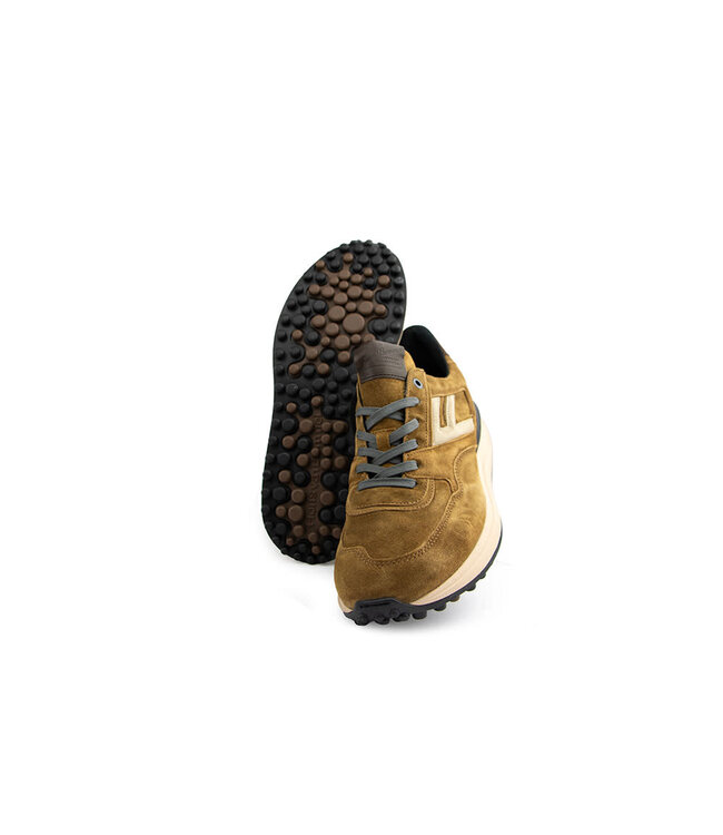 Floris van Bommel Noppi 29.73 Cognac