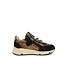 Pinocchio Sneaker Dark Brown Gold Glitter