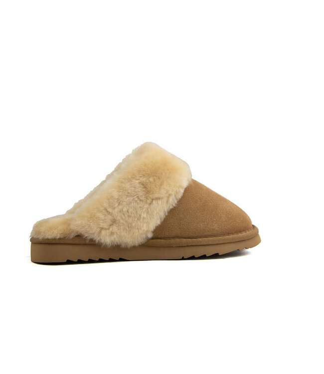 Warmbat Flurry Beige Suede