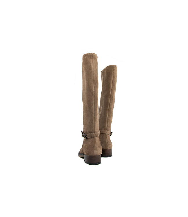 DL Sport Laars Velour Shore