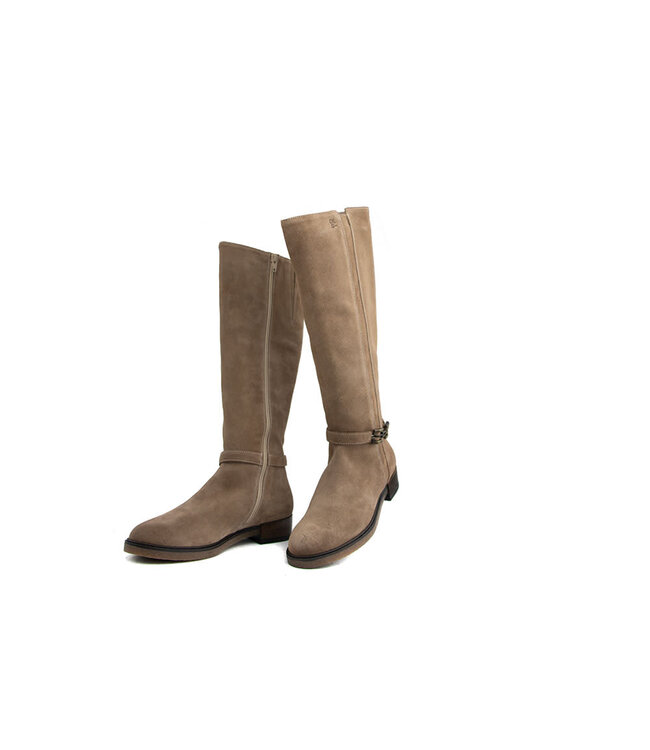 DL Sport Laars Velour Shore