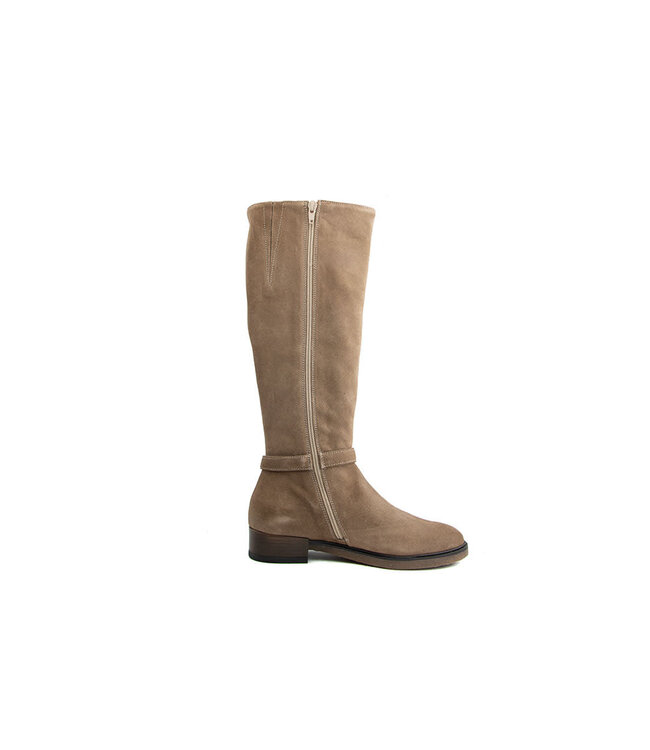 DL Sport Laars Velour Shore