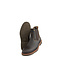 Panama Jack Garnock Igloo C3 Castano Chestnut