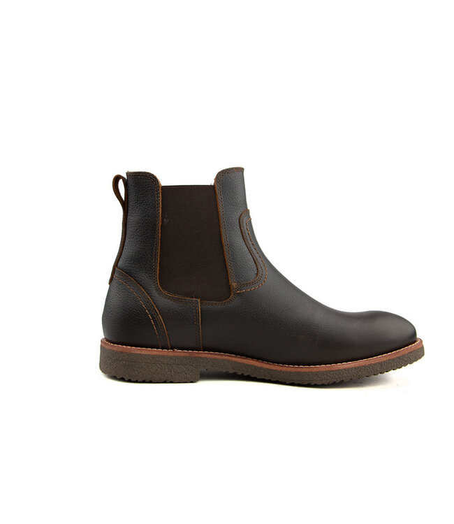 Panama Jack Garnock Igloo C3 Castano Chestnut