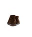 Berkelmans Hoge Veter Alastaro Brown