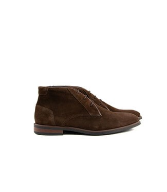 Berkelmans Berkelmans Hoge Veter Alastaro Brown