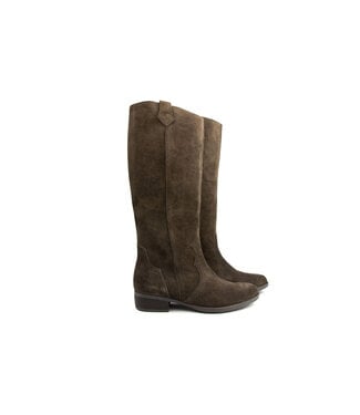Gabor Gabor Laars Mocca Dreamvelour