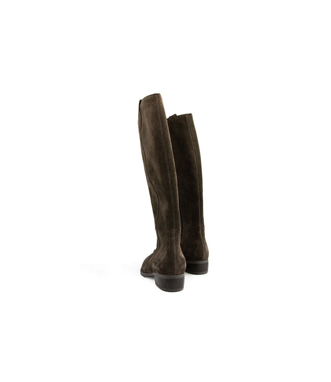 Gabor Laars Mocca Dreamvelour