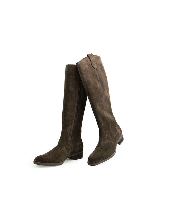 Gabor Laars Mocca Dreamvelour
