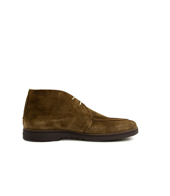Floris van Bommel De Oister 05.01 L.Brown