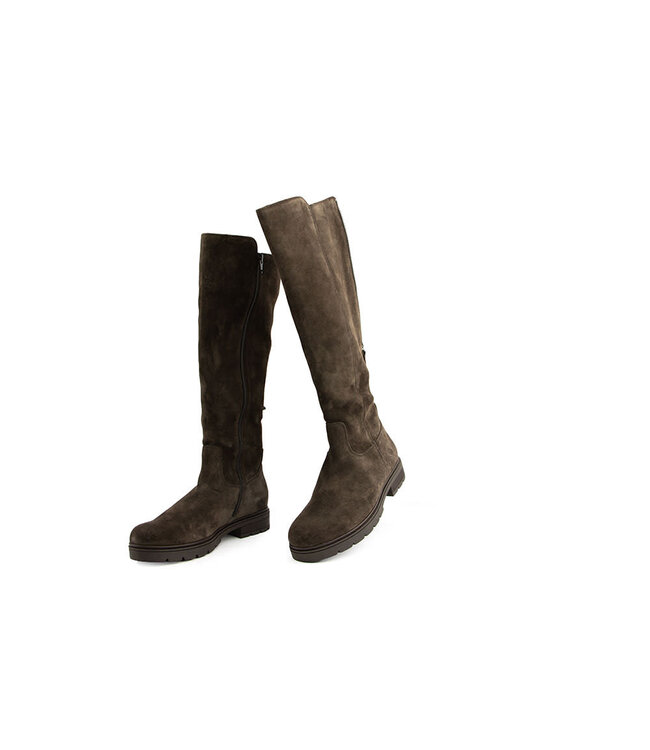 Gabor Laars Mocca Dreamvelour Elastic