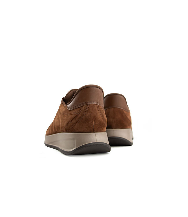 Ara Slip On Sneaker Matteo Mocca