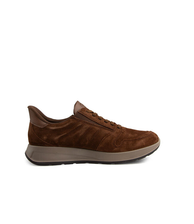 Ara Slip On Sneaker Matteo Mocca