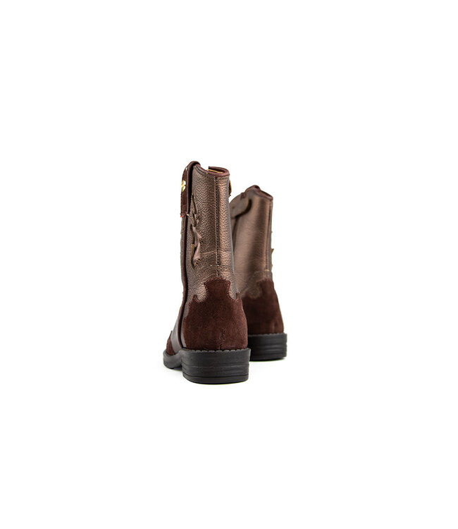 Develab Western Laars Bronze Combi