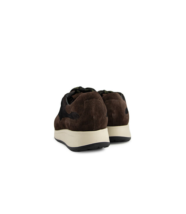 Durea Sneaker Caffe Bordo