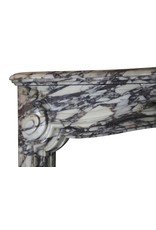 Fine French Regency Style Fireplace In Marble