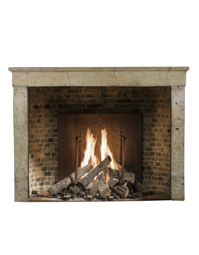 Small European Fireplace Surround In Stone