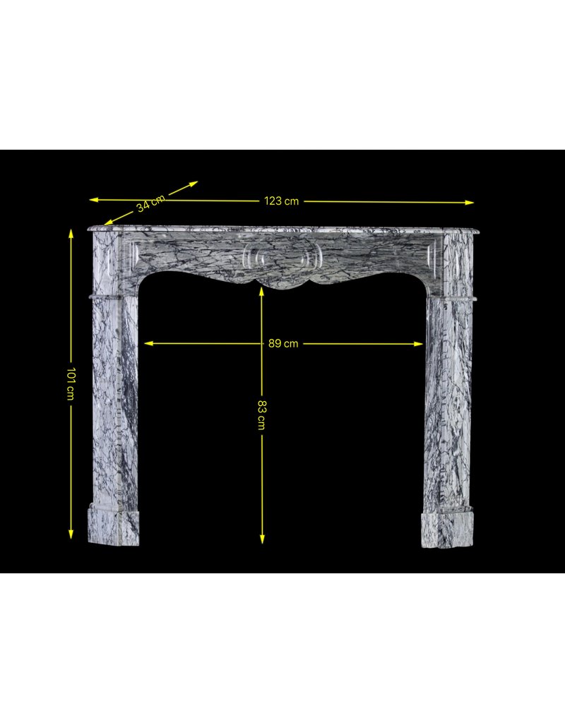 Cheminée Décorative Française Classique Du 19Ème Siècle