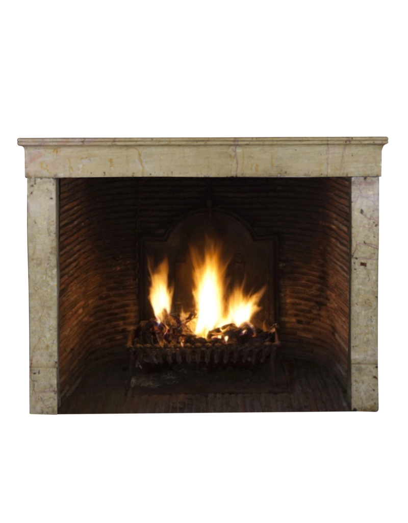 Small European Fireplace Surround In Stone