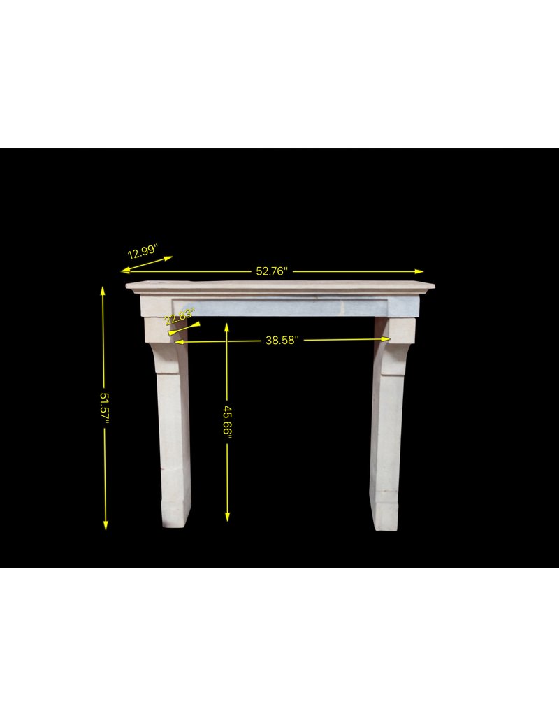 French Vintage Bicolor Limestone Fireplace Surround