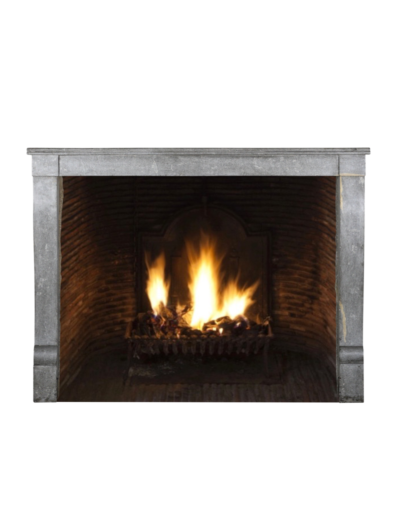 French Antique Fireplace Surround In Bicolor Stone