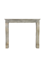 Small Grey Timeless Chique French Limestone Fireplace Surround