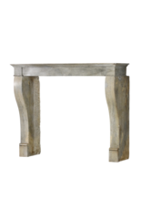 Small Grey Timeless Chique French Limestone Fireplace Surround