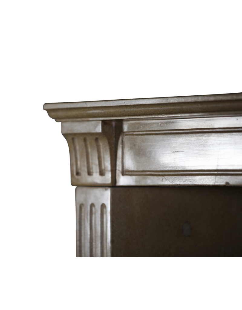 Fine French Classic Fireplace In Bicolour Hard Limestone