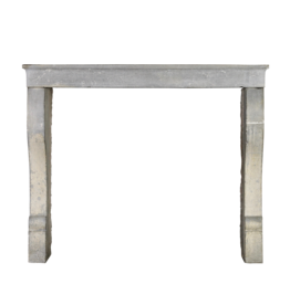 Small Elegant Vintage French Fireplace Surround