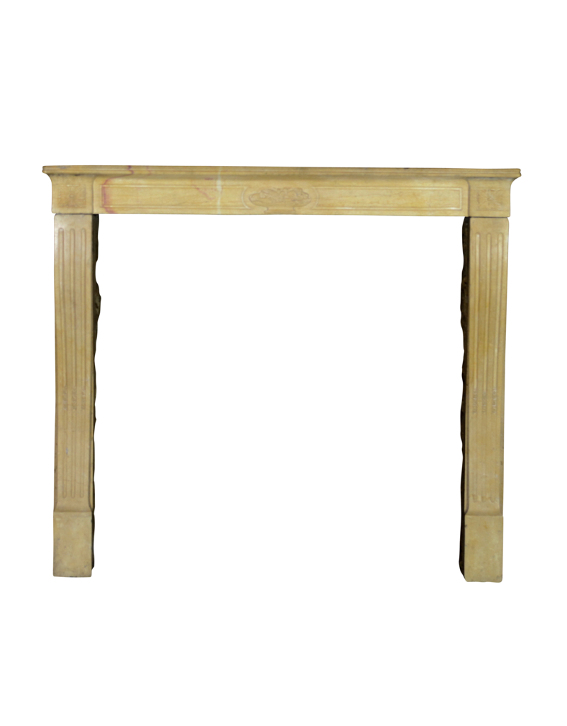 Fine French Vintage Fireplace Surround