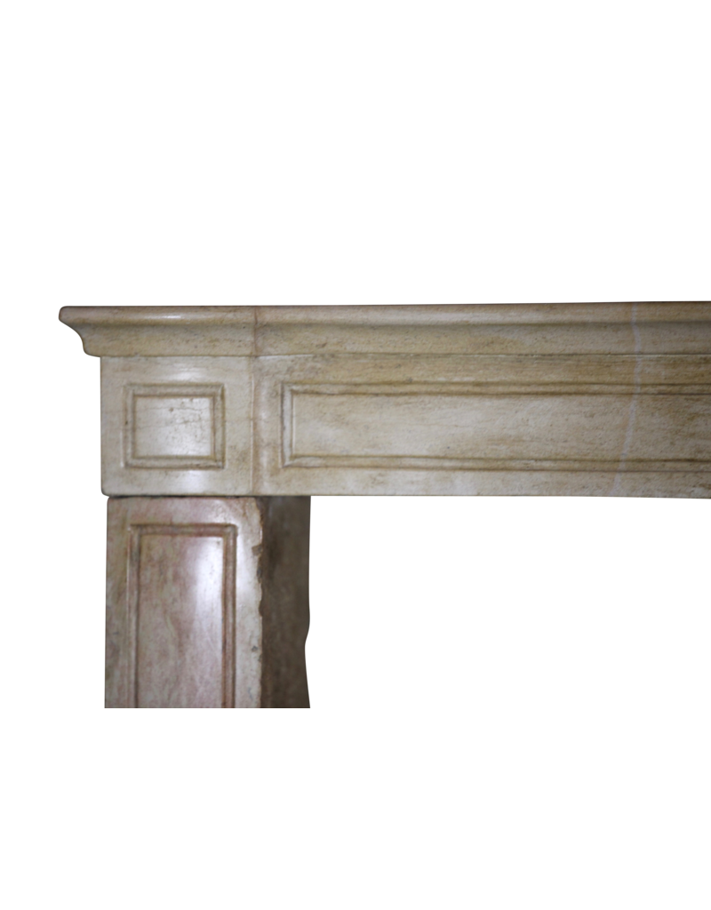 Bicolor French Antique Stone Surround