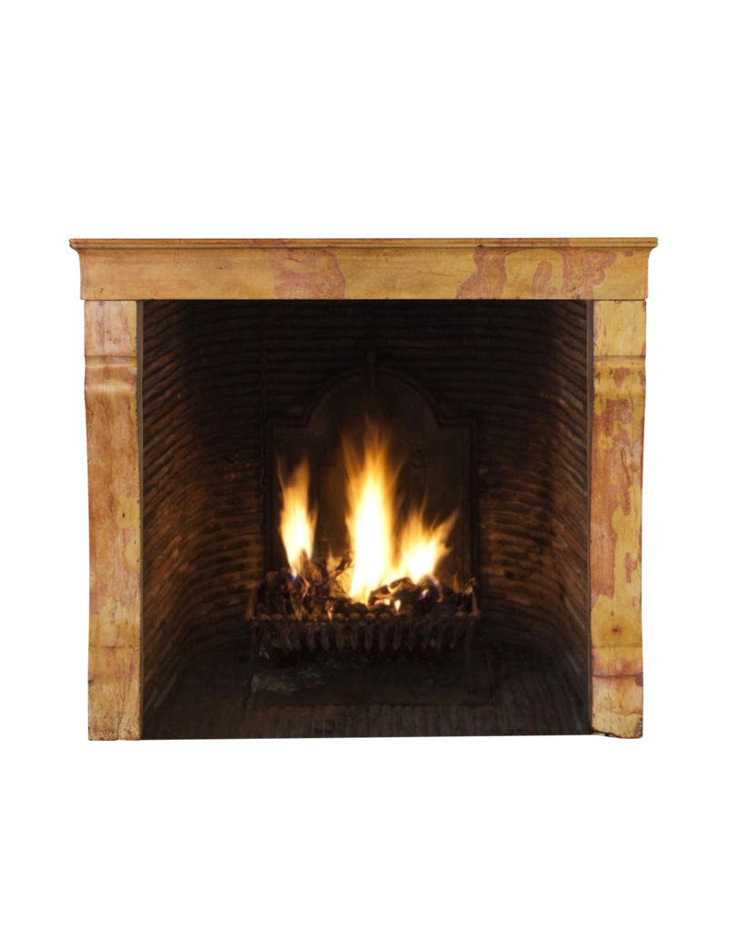 Maison Leon Van den Bogaert Französische Vintage-Kaminmaske
