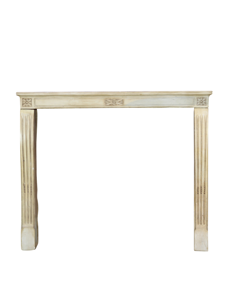 Elegant Vintage French Fireplace Surround