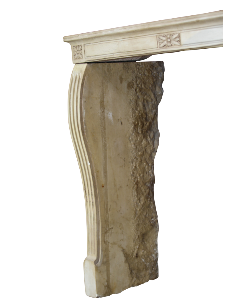 Elegant Vintage French Fireplace Surround