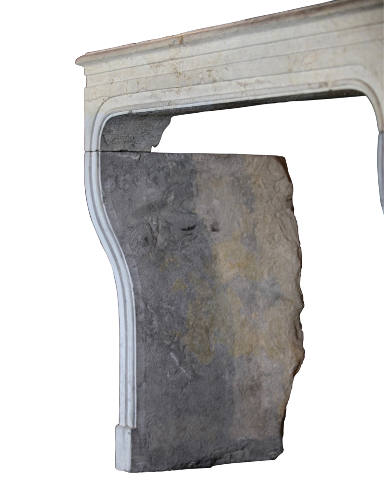 Bicolor LXIV-Periode Franse Antieke Stenen Surround