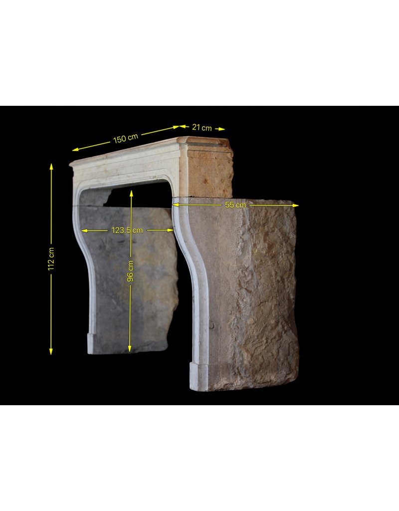 Zweifarbig LXIV Periode Französisch Antiken Stein Surround