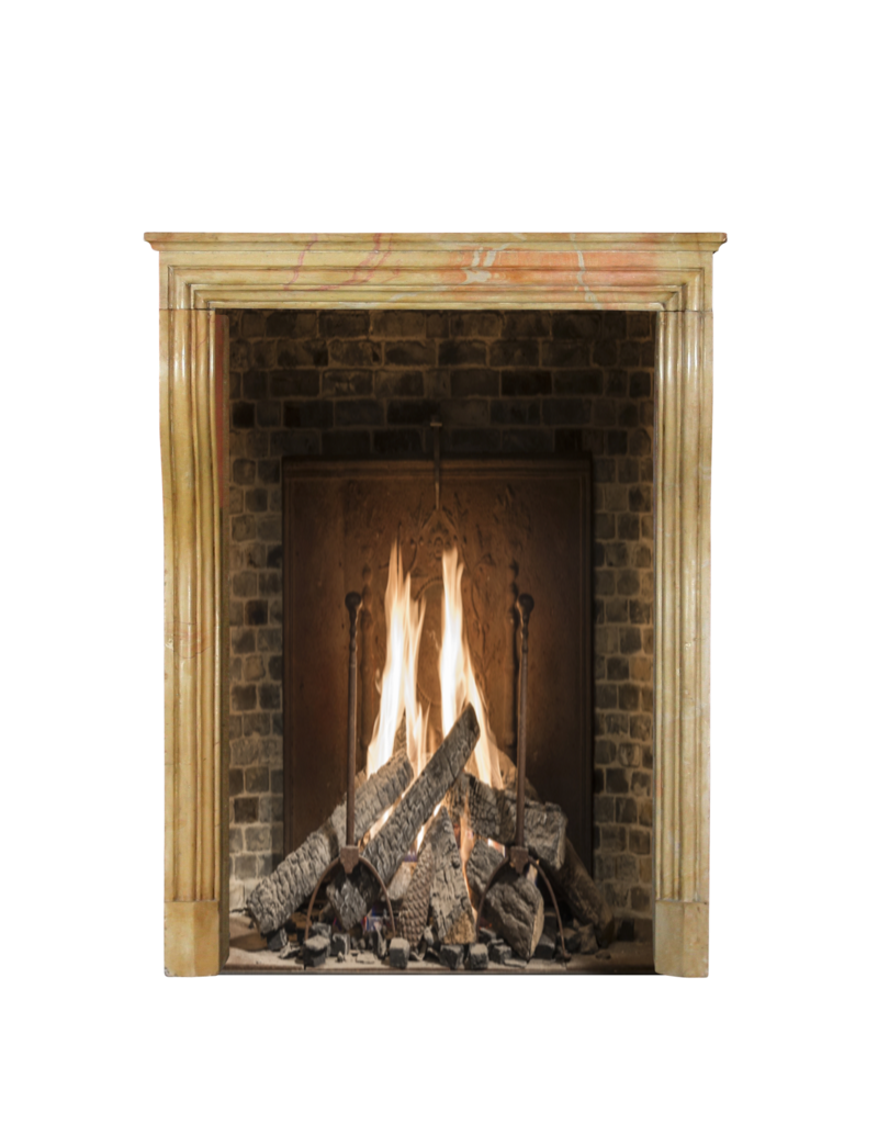 Bicolor LXIV Style French Antique Fireplace