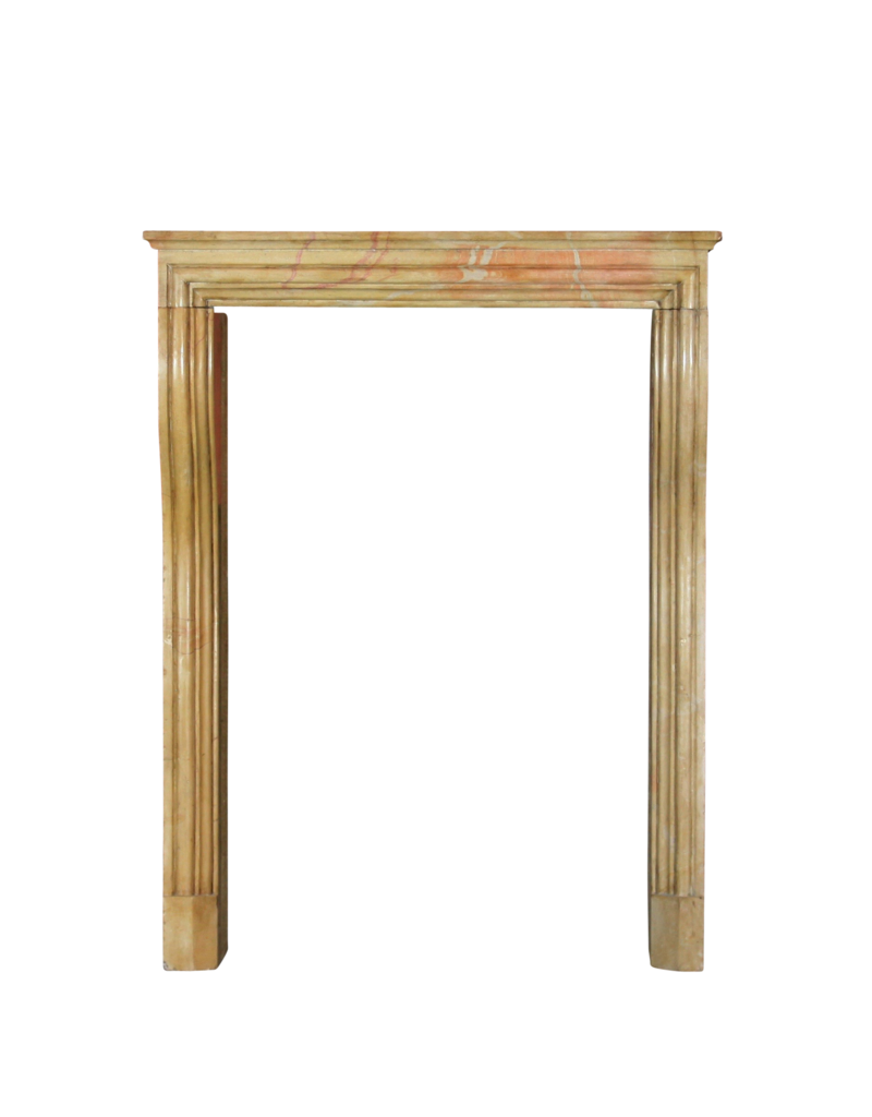 Maison Leon Van den Bogaert Cheminée Antique Bicolore De Style Lxiv, France