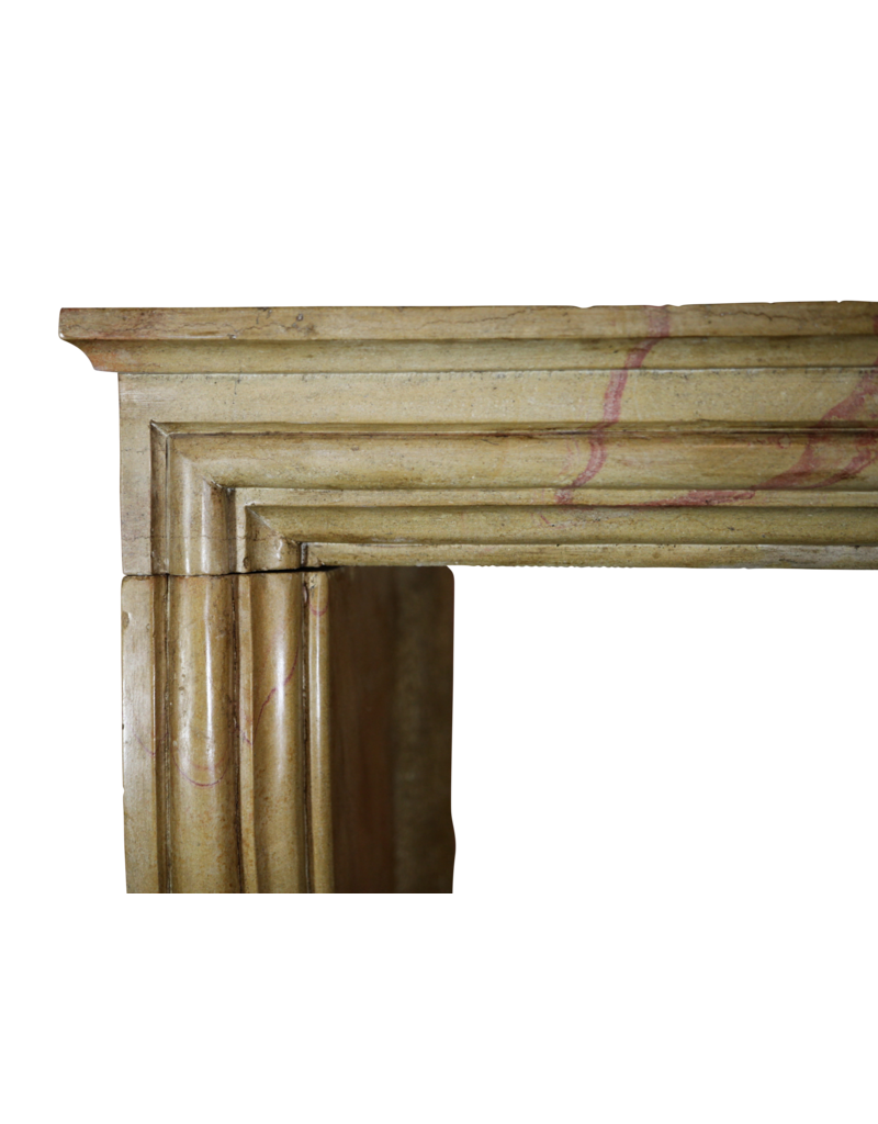 Bicolor LXIV Style French Antique Fireplace