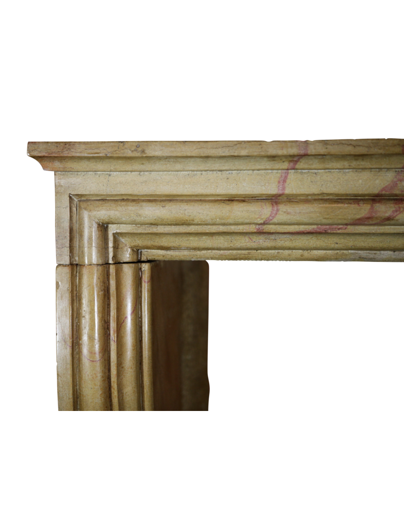 Maison Leon Van den Bogaert Cheminée Antique Bicolore De Style Lxiv, France
