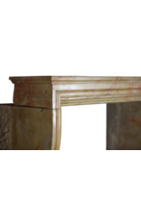 Maison Leon Van den Bogaert Bicolor LXIV Style French Antique Fireplace