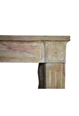 Maison Leon Van den Bogaert Antike originale französische Kaminverkleidung aus zweifarbigem Stein