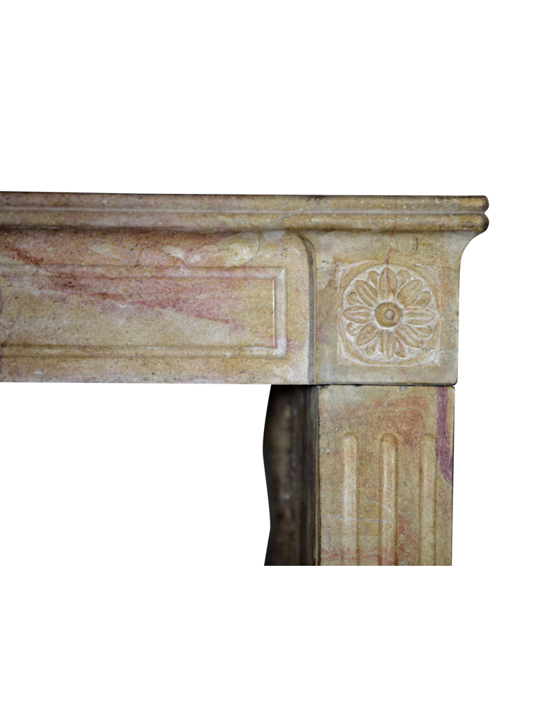 Maison Leon Van den Bogaert Antike originale französische Kaminverkleidung aus zweifarbigem Stein