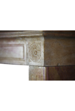 French Original Bicolor Stone Vintage Fireplace Mantle